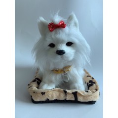 GIOCO CANE MALTESE