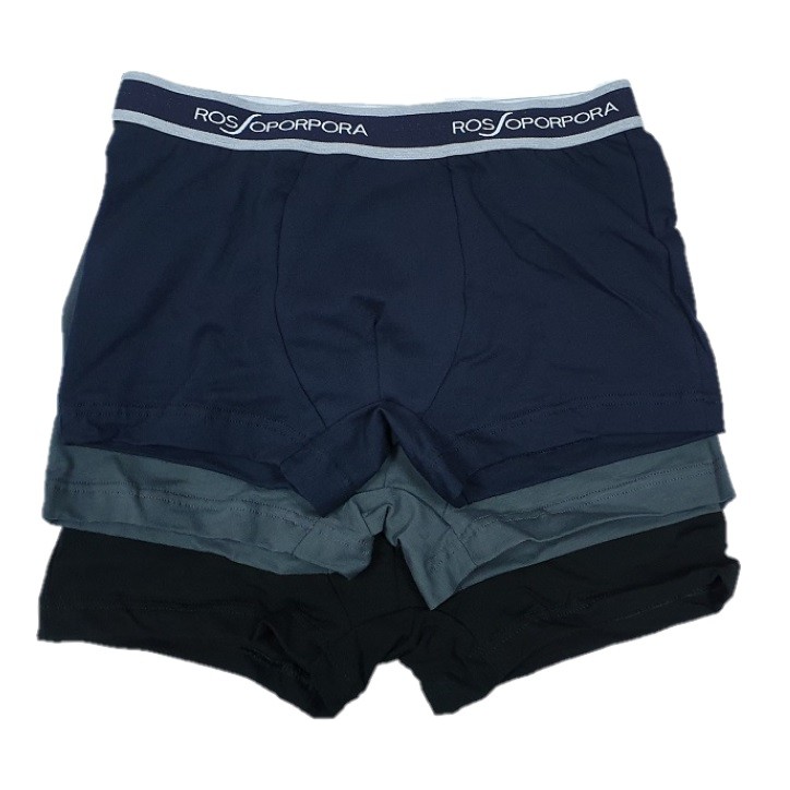 BOXERGIGI